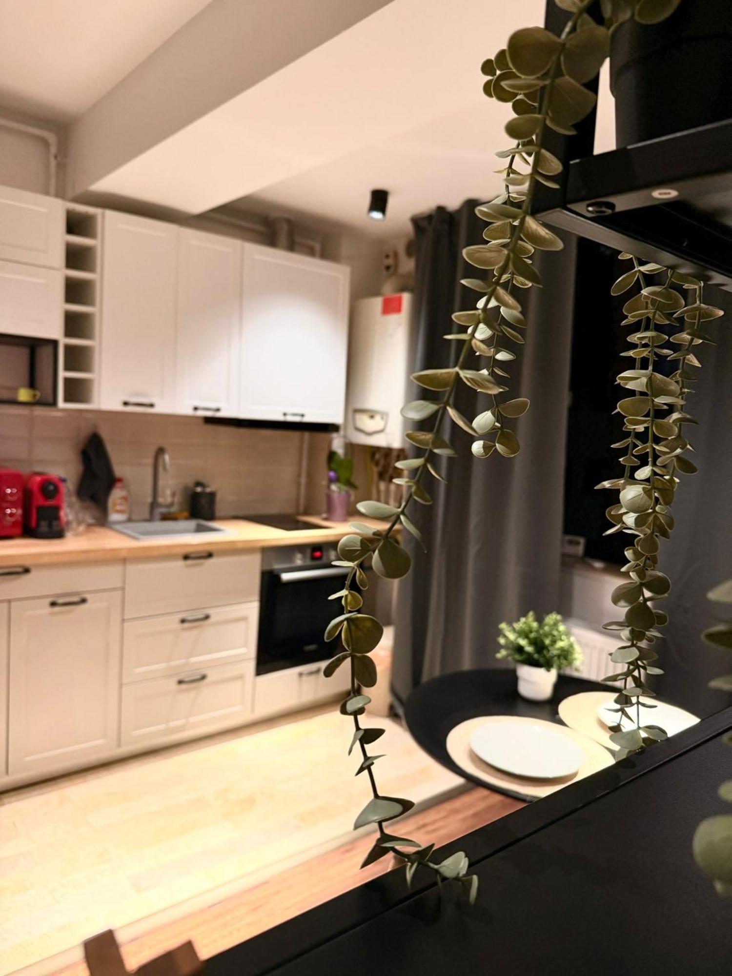 Cozy Apartment With Self Check-In Near Promenada Mall And Verdi Park Bucureşti Ngoại thất bức ảnh